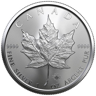 Kanadyjski Liść Klonowy / Maple Leaf, 50 sztuk w tubach